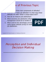 Perception and Individual Decision Making