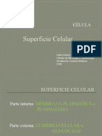 2 Superficie Celular - Final