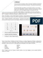 Clasificación de Actividades 2do Grado