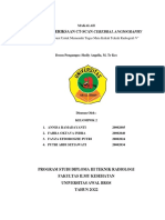 CT Scan Cerebral - Angiografhy KL 2