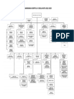 Organigrama Hospital Ii-E Bellvista