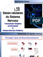 T15 BHG - 2018 - 2019 Bases Celulares Do Sistema Nervoso