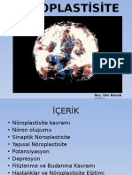 Nöroplastisite YENİ - Kopya (PDF - Io)