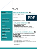 Curriculum Abel Avalos