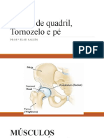 Lesões de Quadril