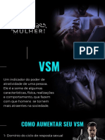 Resumo Da Aula VSM + CDPM