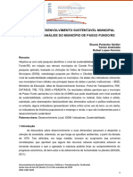 Análise do IDSM no município de Passo Fundo/RS