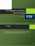 The Digestive System (Oral - Esofagus)