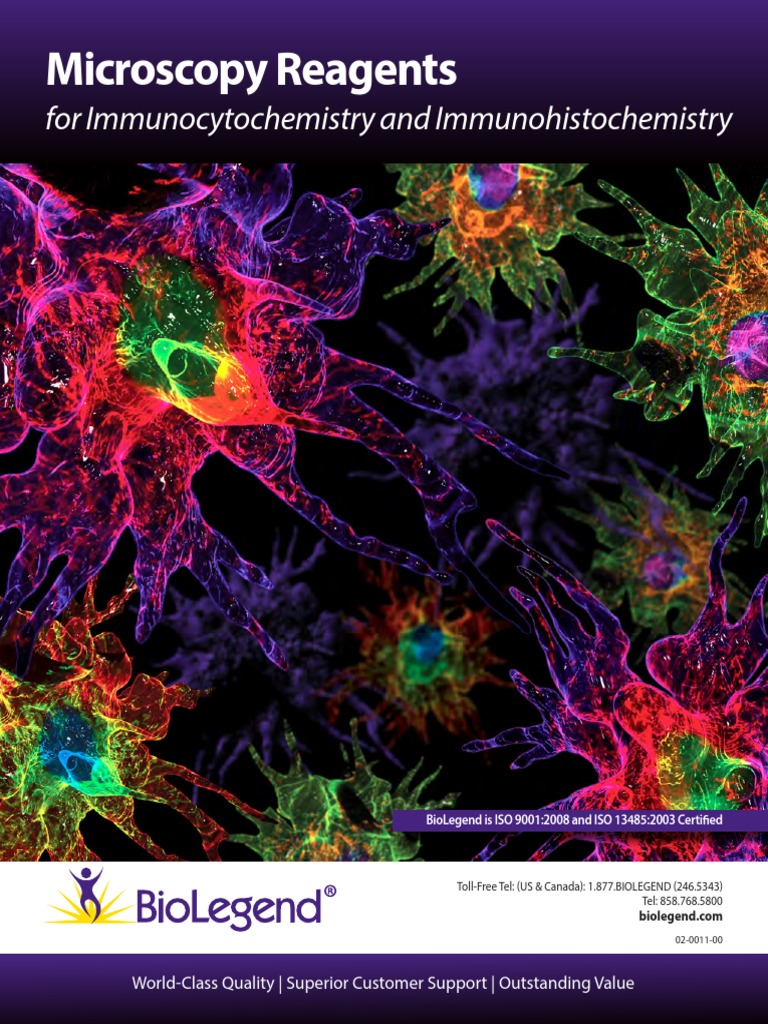 Microscop I o PDF Immunohistochemistry Fluorescence Microscope