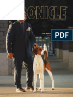 The Canine Chronicle 2