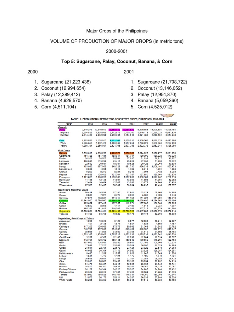 TOP 5 Crops PH | PDF | Rice | Crops