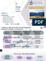Informe de laboratorio N°2 (bioenergetica) -GRUPO N°2