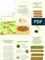 Green and Brown Minimalist Playful Nature Organization Brochure