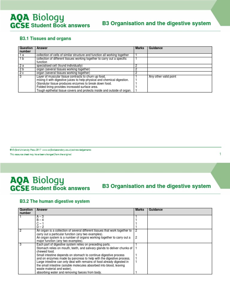 AQA GCSE Bio End of Topic B3 PDF Enzyme Human Digestive System
