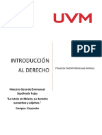 Ensayo de XOCH Introducción Al Derecho