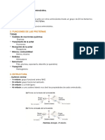 T4. Estructura y Función de Las Proteínas