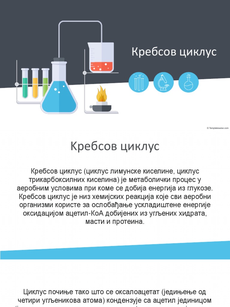Krebsov Ciklus | PDF