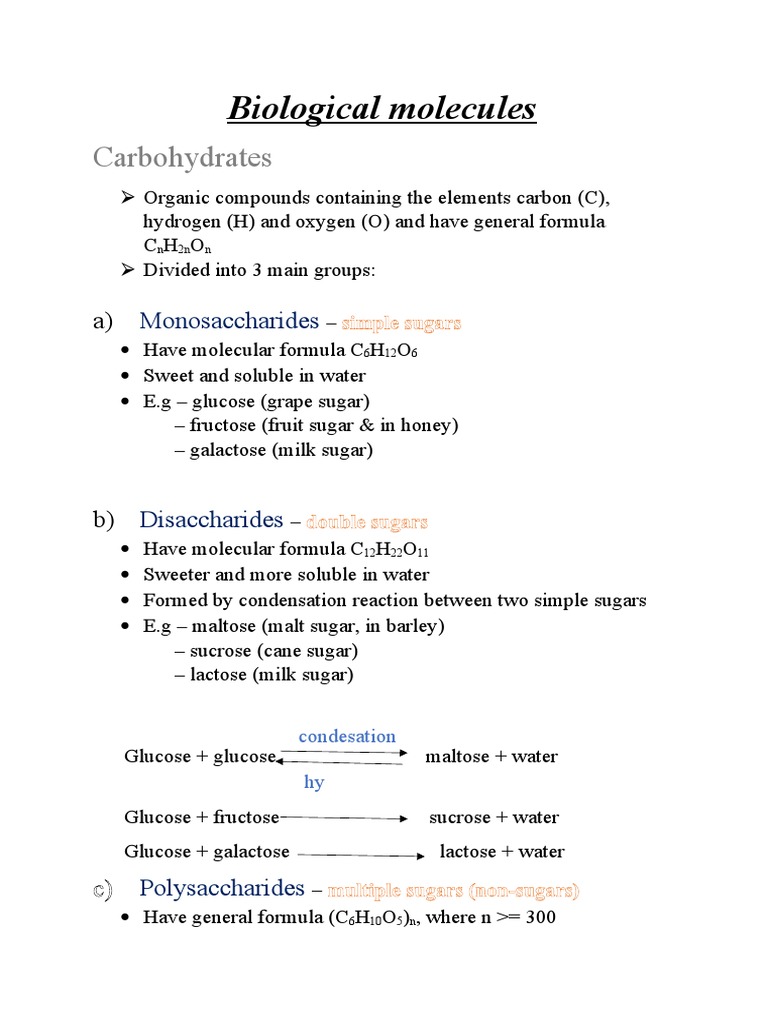 Overview of Biological Molecules | PDF | Glucose | Carbohydrates