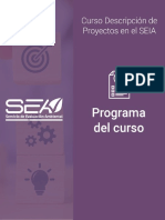 SEA DP Programa Curso