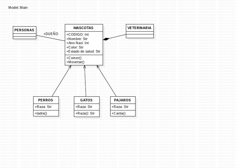 Pet Management System Overview | PDF