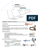 Evolución de los vertebrados desde anguilas babosas hasta tetrápodos