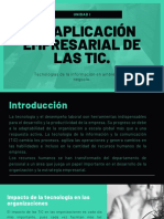 Aplicación Empresarial de Las TIC.