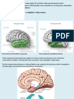 Sistema Limbico Amigdala 141022 PDF