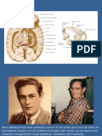 Hipocampo Memoria 061122 PDF