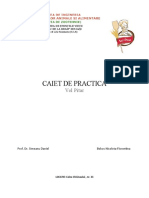 Caiet de Practica