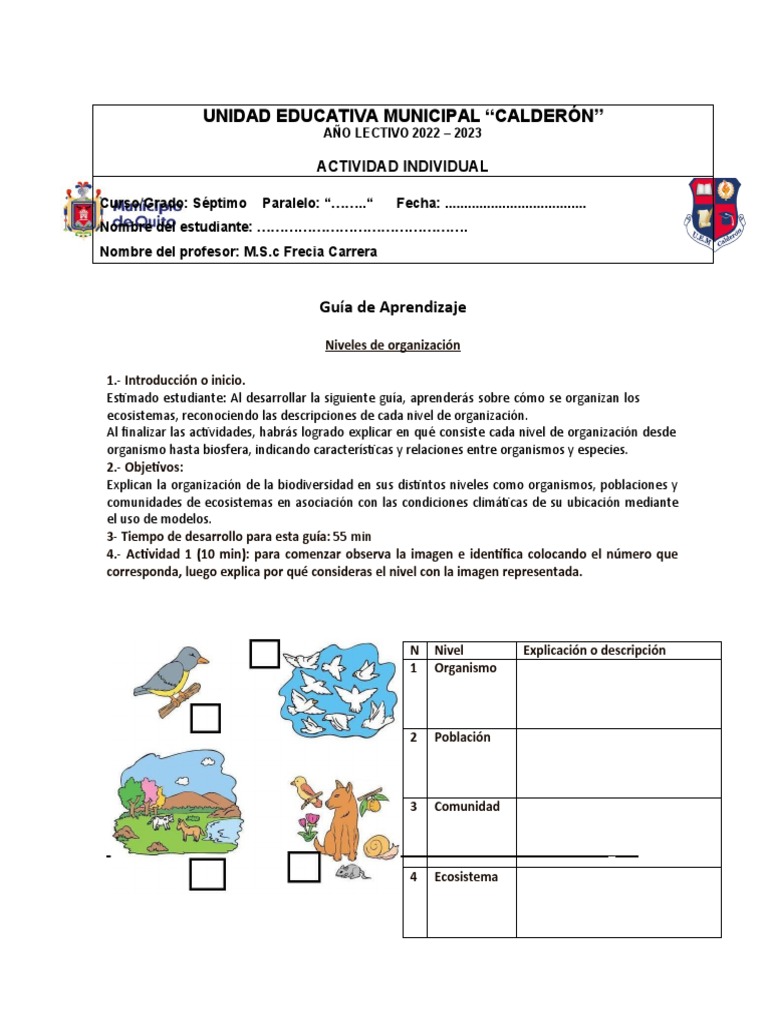 Actividad Niveles de Organización de Los Ecosistemas | PDF | Ecosistema ...