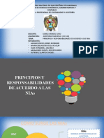 Principios y responsabilidades de las NIAs