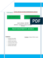 Management Agile