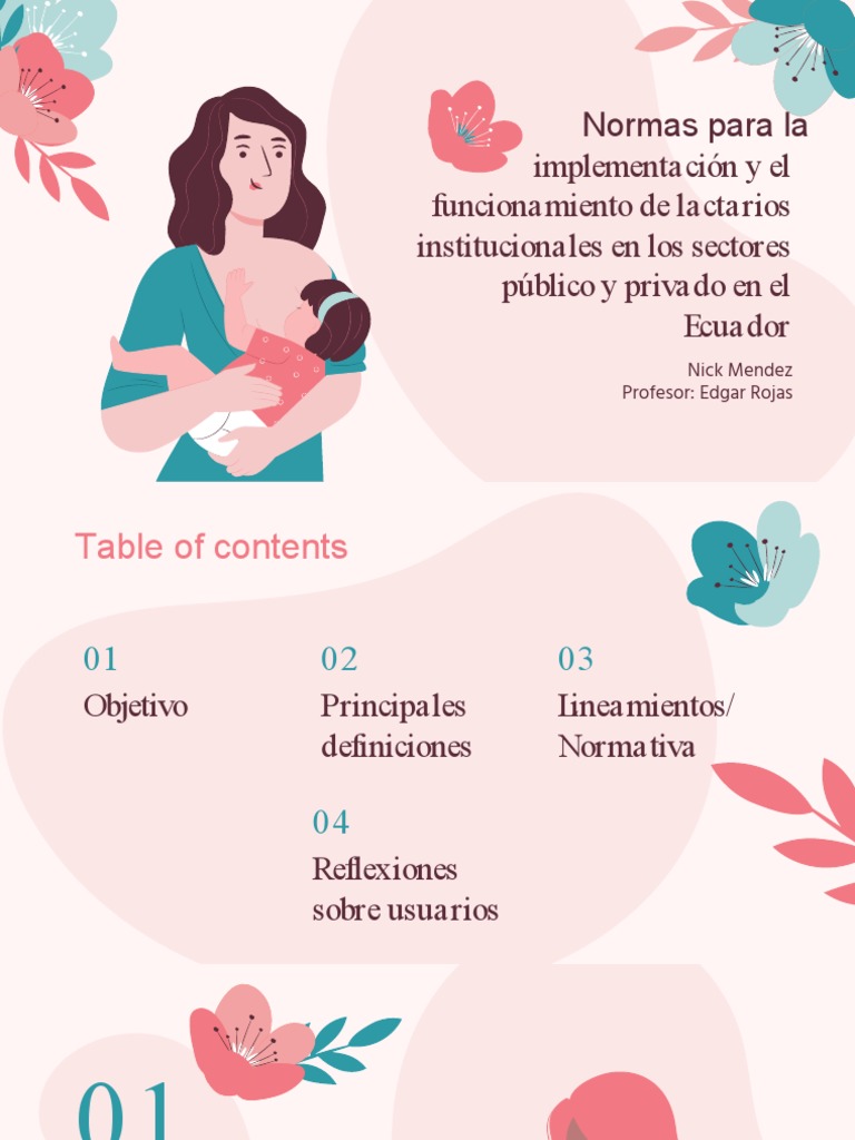 Normas para Lactarios Institucionales en Ecuador | PDF | Amamantamiento ...