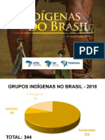 GRÁFICOS Relatório Indígenas Do Brasil Atualização 2018 2