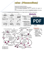 Malaria, Toxoplasmosis, Leishmaniasis