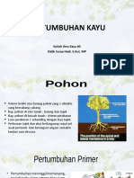 Pertumbuhan Kayu