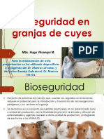 Bioseguridad en Granja de Cuyes