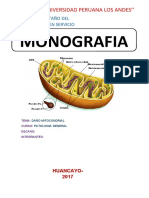 Monografia de Patologia Daño Mitocondrial