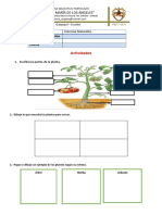 Taller 1 - 3ro - CCNN