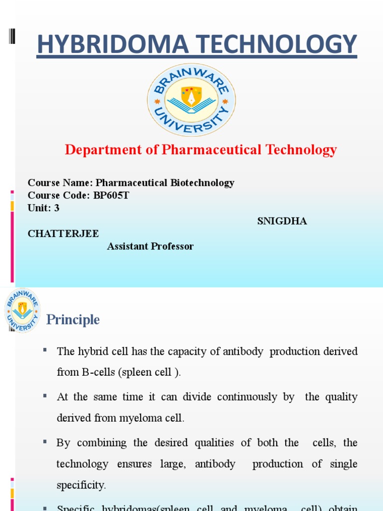 Hybridoma Technology Overview and Applications | PDF | Monoclonal ...
