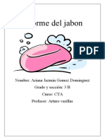 Informe Del Jabon