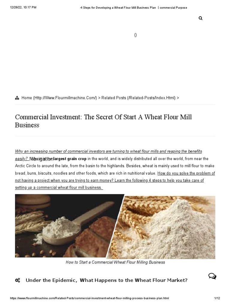 4 Steps for Developing a Wheat Flour Mill Business Plan