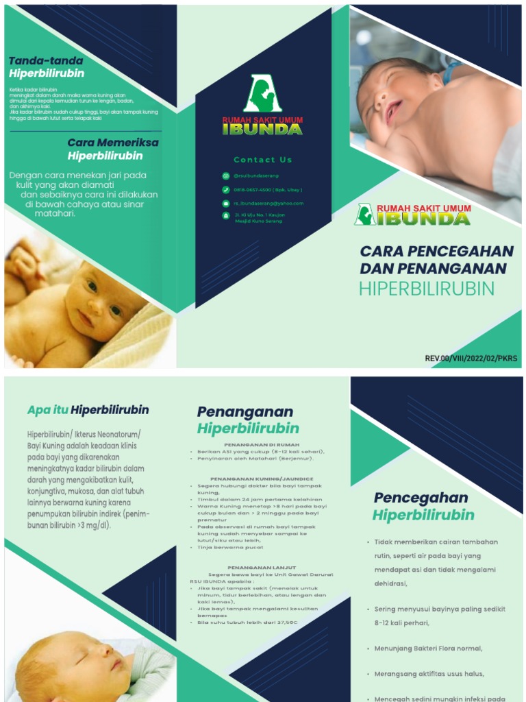 Leaflet bilirubin pdf