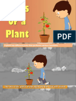 Parts of A Plant 1644921116409