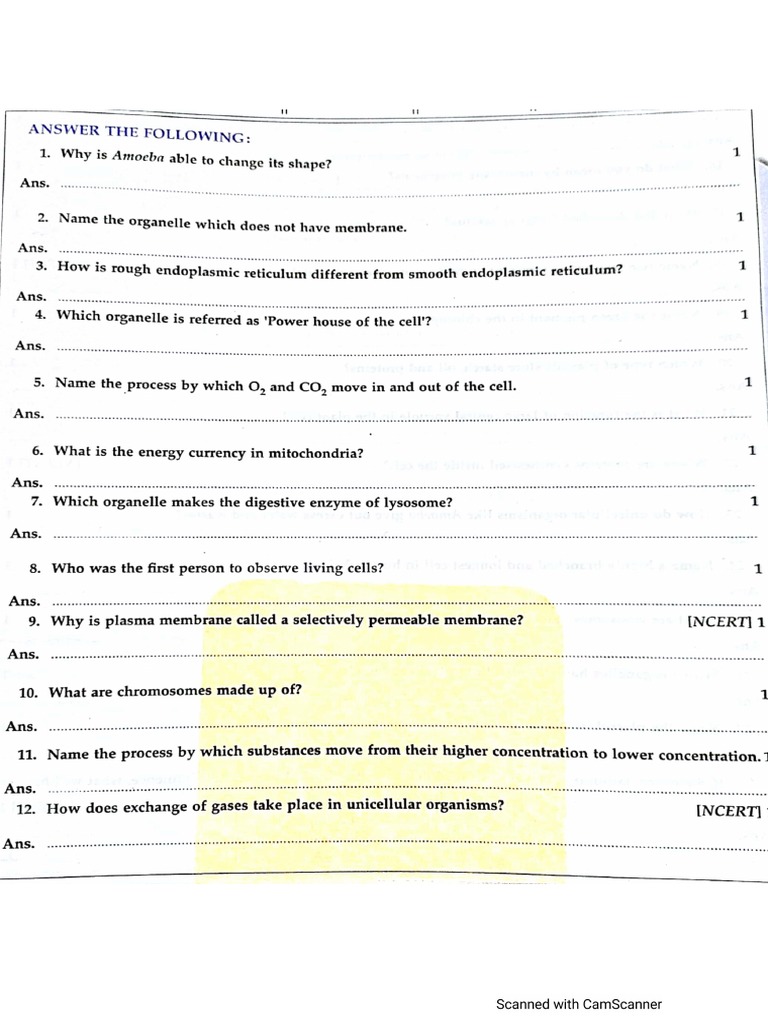 Fundamental Unit of Life Worksheet 1 PDF