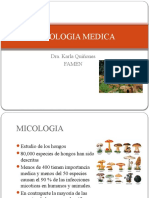 Micologia Medica