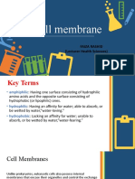 Cell Membrane