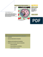 Lecture Sur Les 2 Semaines de DVP de L'oeuf