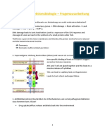 Molekulare Infektionsbiologie Ausarbeitung Fragen-LAPTOP-79U579GV
