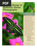 Download Butterfly House Photography by Michael Lustbader SN6168936 doc pdf